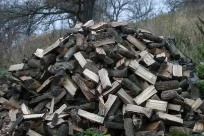 2005ATV_woodpile.jpg