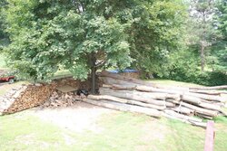 New Wood pile Pictures