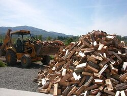 Moving Wood .JPG