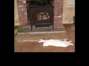 zacharystove.jpg