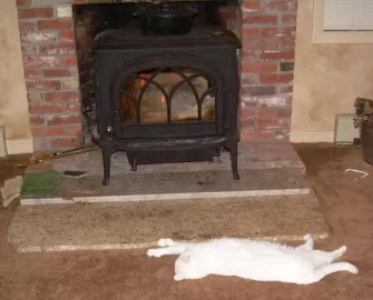 zacharystove1.jpg
