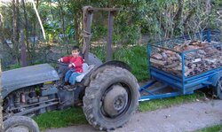 Zac on tractor with wood filled trailer 1 LQ.jpg