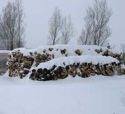 wood-in-snow.jpg