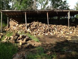woodshed pile.jpeg