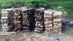 Wood Pile 4.jpg