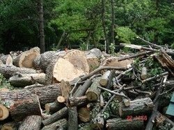 firewood5.JPG