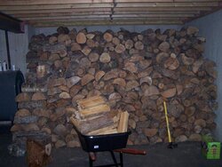 wood pile3.jpg