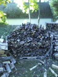 wood pile 2 (1).jpg
