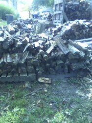 wood pile 1 (1).jpg