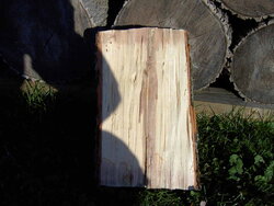 wood 004.jpg