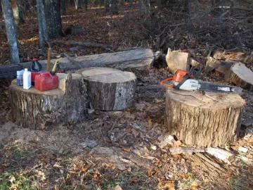 wood-rounds.jpg