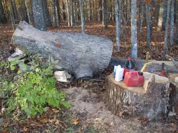 wood-next.jpg