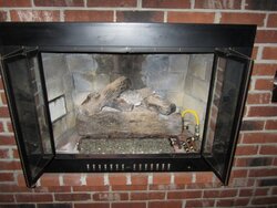 Need advice old fireplace - lots of questions