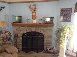 Assistance Needed - ZC fireplace want wood insert
