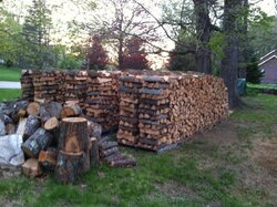 2014-2015 and 2015-2016 Firewood