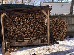 Firewood newbie