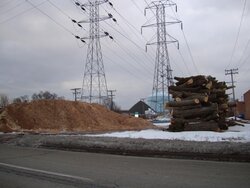 city wood piles.jpg