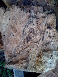 help with splitting big oak logs