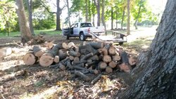 oak pile 2.jpg