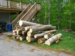 Pics!  My new saw and the pile of logs to test it on...