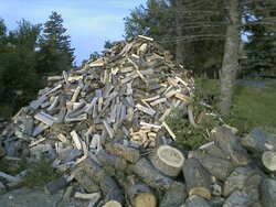woodpile.jpg