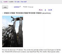 Firewood 300 worth.jpg