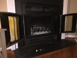 Fireplace doors thoughts