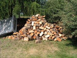 Firewood Pile in Yard.JPG