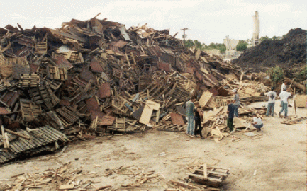 woodpile.gif