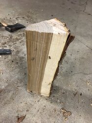 Wood Id (cottonwood)?