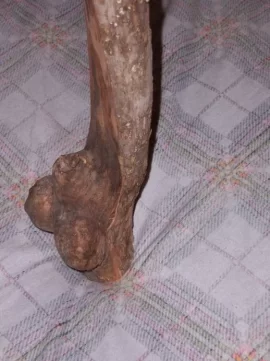 Wood 1.jpeg