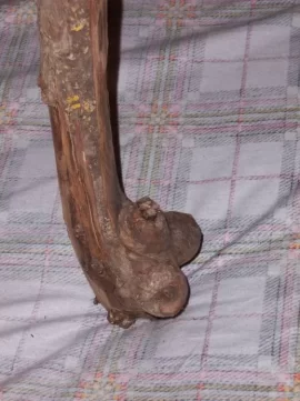 Wood 2.jpeg