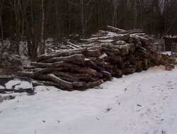 Wood Pile 001.jpg