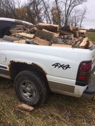 Truck Load Wood 3.JPG