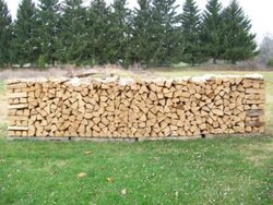 wood piles.jpg