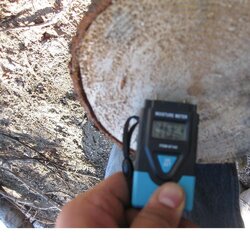Can moisture meter be used on end grain of a fresh cut round with any accuracy?