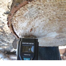 Can moisture meter be used on end grain of a fresh cut round with any accuracy?