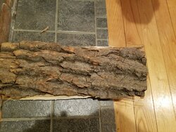 Yet another wood ID