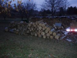 Neighbor Having Ash Tree's Cut(Update 12/5)