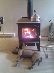 My dog LOVE the wood stove