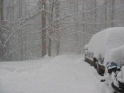 2009 snow 2 driveway.jpg