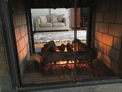 Looking to convert from vented to ventless - Double sided fireplace