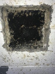 How high up from the base should I install a cleanout door?