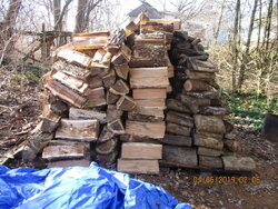just got several loads of firewood for free  i just had to cut and split