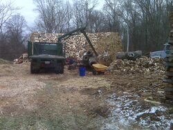 local firewood dealer