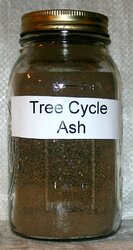 TreeCycle ash 1a.jpg
