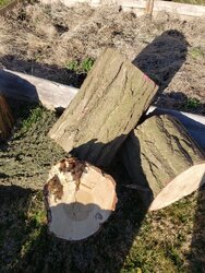 Help Identifying logs