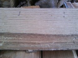 oak chestnut split 3.jpg