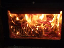 Best wood stove for me?