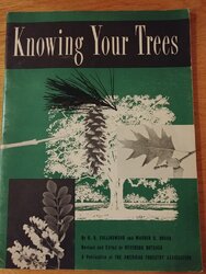Knowing Your Trees